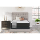  Sierra Sleep Limited Edition Firm M41011 Twin Mattress IMAGE 7