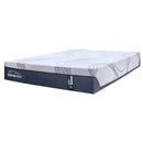  Tempur-Pedic Tempur-Sense 2.0 Medium 10" Mattress (Full) IMAGE 2