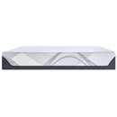 Tempur-Pedic Tempur-ProSense 2.0 Soft 12" Mattress (Queen) IMAGE 5