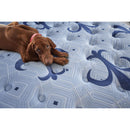  Stearns & Foster Ellaria Firm Euro Top Mattress (Twin XL) IMAGE 19