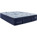  Stearns & Foster Ellaria Firm Euro Top Mattress (King) IMAGE 1